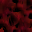gfx/caves/12.png